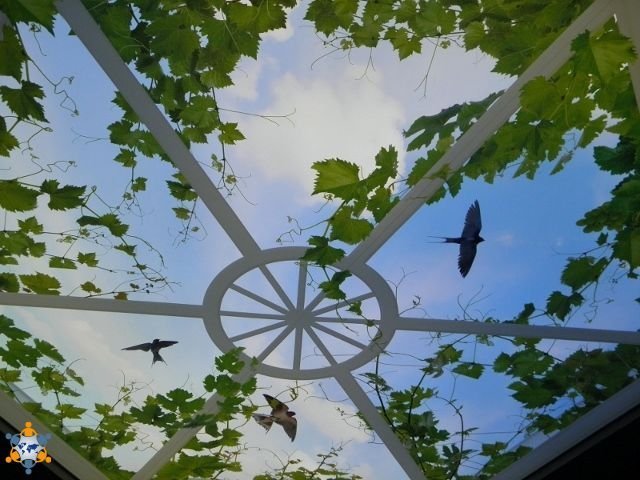 Spanndecken Design in Rheine