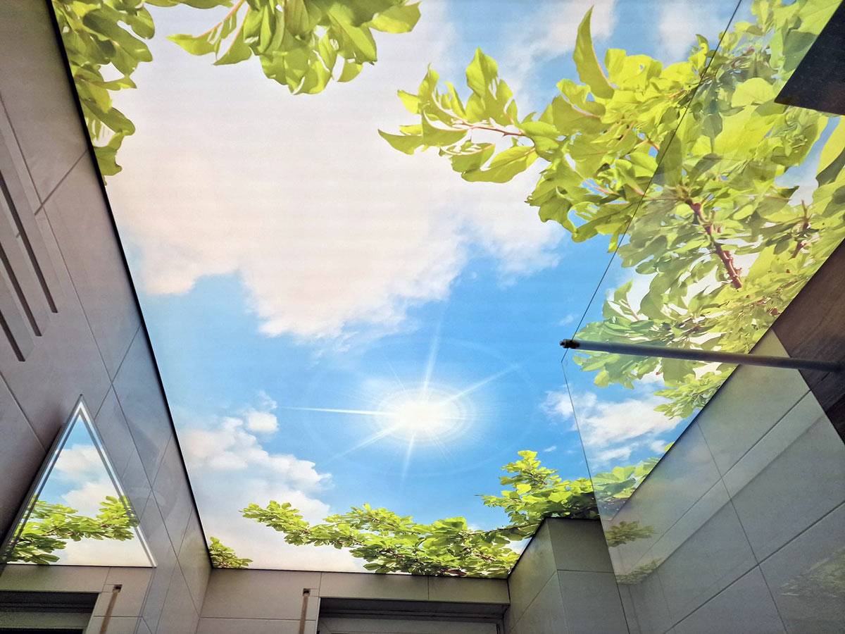 Spanndecken Design in Rödinghausen