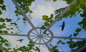 Spanndecken-Beispiel mit glatter Deckenoberfläche – Beispiel für Spanndecken in Hoxter und Umgebung