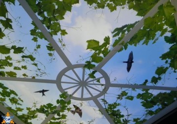 Spanndecke Fotodruck Lichtdecke