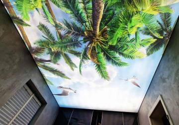 Lichtdecke im Badezimmer mit einem bedruckten Motiv aus Palmen und sonnigem Himmel