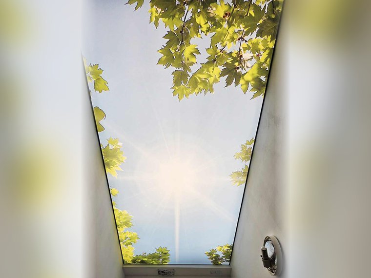 Fertig montierte Lichtdecke mit gleichmäßiger Hinterleuchtung und Fotodruck eines sonnigen Himmels mit grünen Baumkronen. Die Konstruktion verleiht dem schmalen Flur mehr Helligkeit und optische Tiefe.